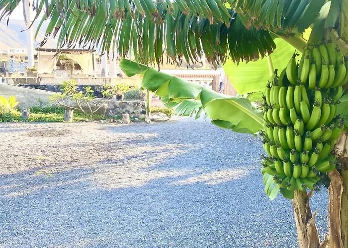 Nashira Hot Tub Piscina Y Jardin 아파트 Buzanada